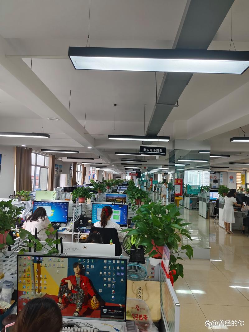 网店托管：助力小微企业轻松布局电商